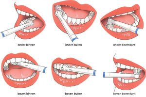 Industrieel Patois olifant hoe tanden poetsen | hoe poets je je tanden het beste?