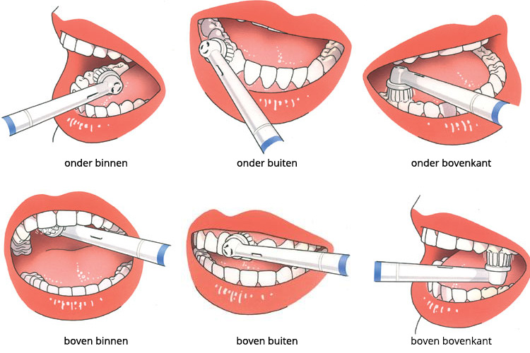 canvas Gesprekelijk Th hoe tanden poetsen | hoe poets je je tanden het beste?